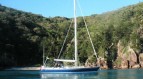 Lady Godiva - Swan 60